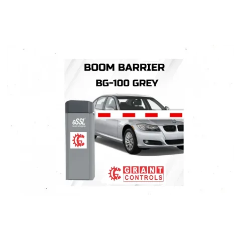 BG 100